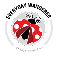 Everyday Wanderer